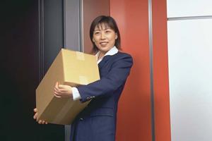 職人技のほうき通販は楽天で購入可能